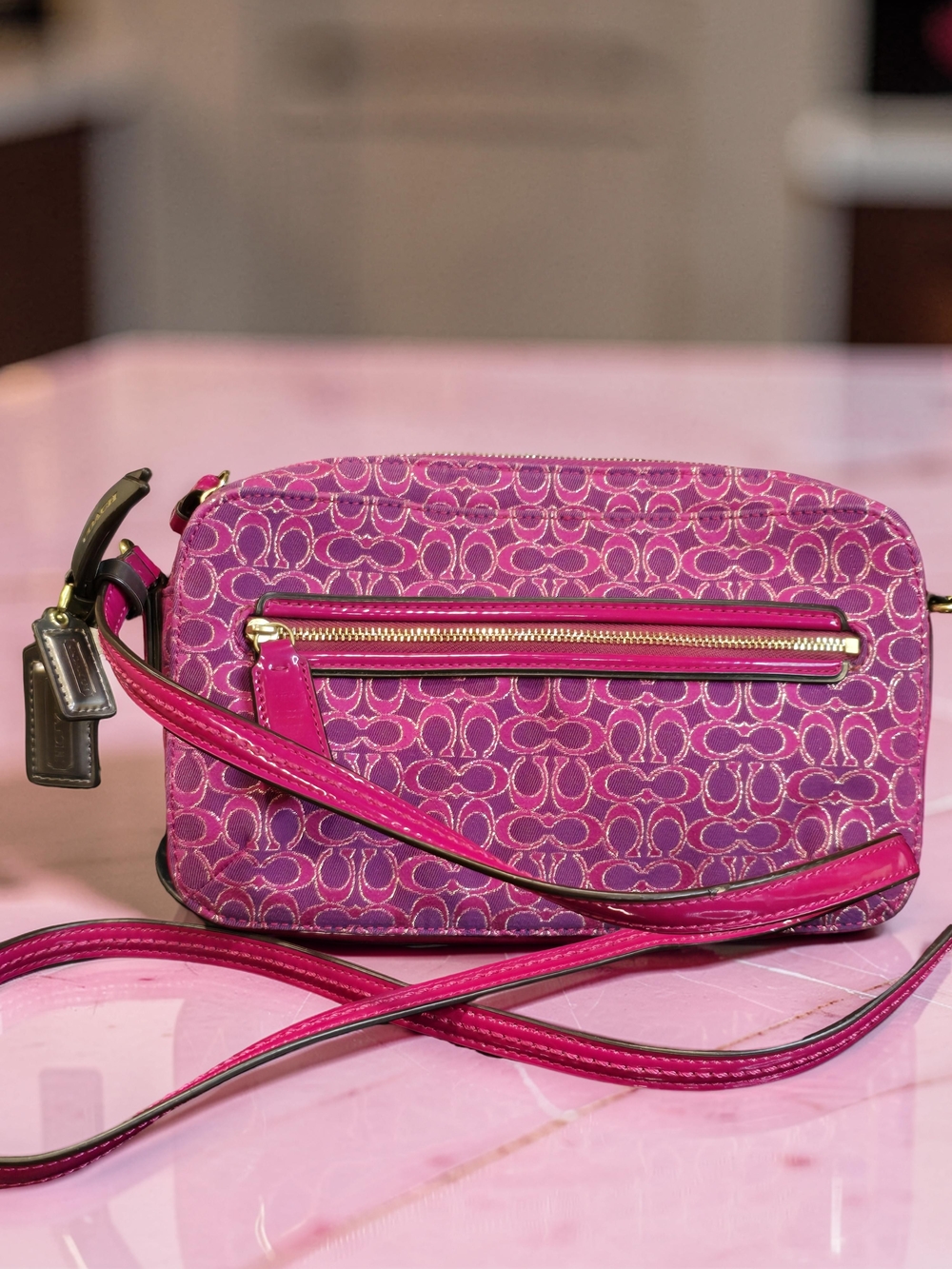 Coach Poppy Y2k Metallic East/West Swingpack Crossbody